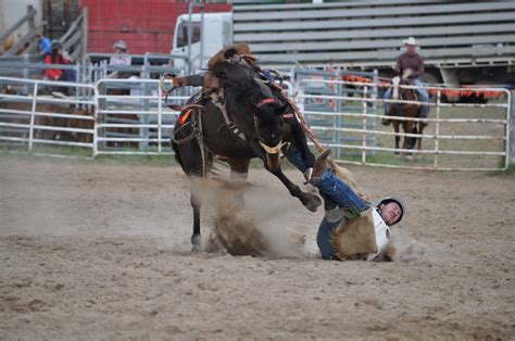 How Dangerous Is Horse Riding