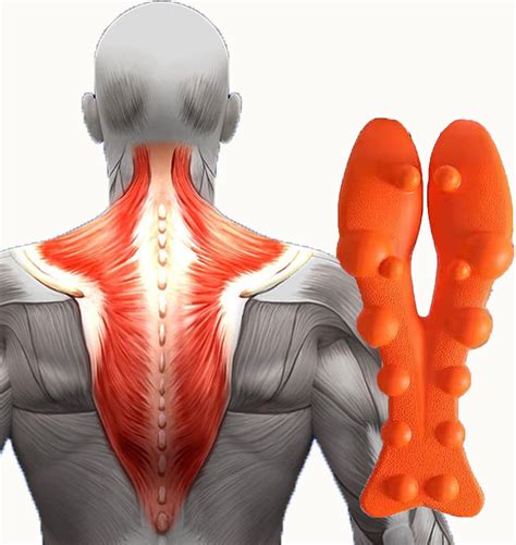 Trapezius and Neck Massage Tool - GB20 Trigger Point Philippines | Ubuy