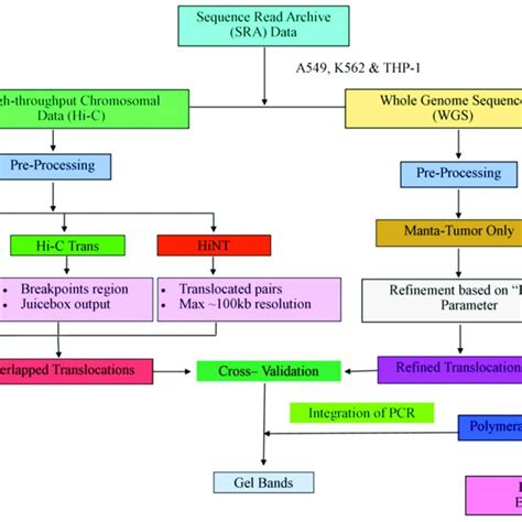 Data Analysis Science 的图像结果