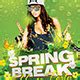 Image result for How to Throw a Spring Break House Party