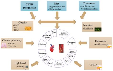 Can Bioactive Food Substances Contribute to Cystic Fibrosis-Related ...