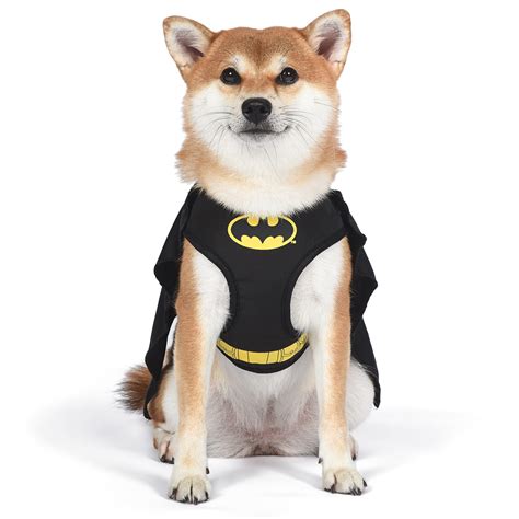 Dog Halloween Costumes Batman at Harold Spence blog