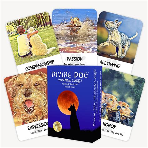 Buy Divine Dog Wisdom Cards Book Online at Low Prices in India | Divine ...