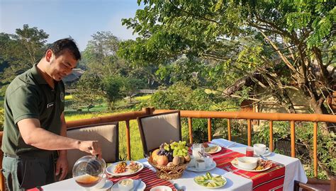 DIPHLU RIVER LODGE (Kaziranga National Park, Assam) - Lodge Reviews ...