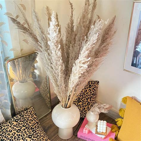 Brown Tall Pampas (10 stems Bunch) – Casarella