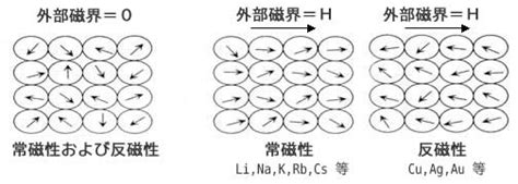 Introduction to Python Coding に対する画像結果