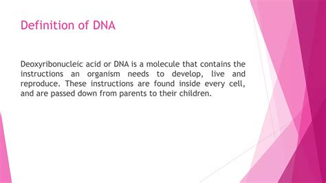 DNA Examples 的图像结果