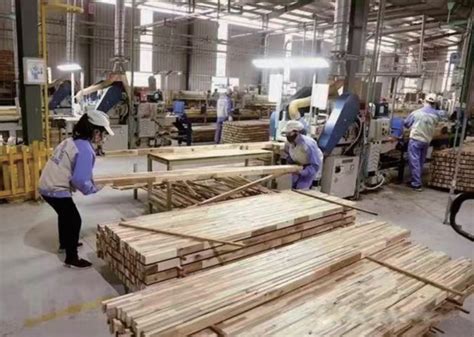 我国木材加工产业现状 【批木网】 - 木业行业 - 批木网
