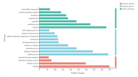 Image result for Go Annotation