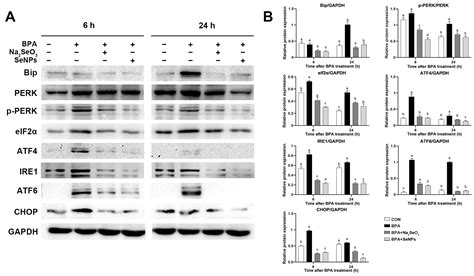 Protective Effects of Selenium Nanoparticles against Bisphenol A ...
