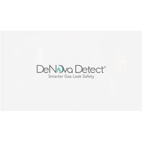 DeNova Detect 2-in-1 10-Year Battery-operated Natural Gas Carbon ...