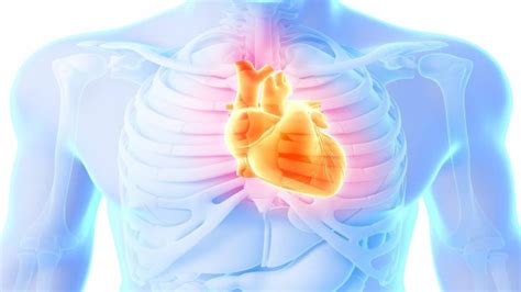 Genetic tool created to identify risk of heart disease