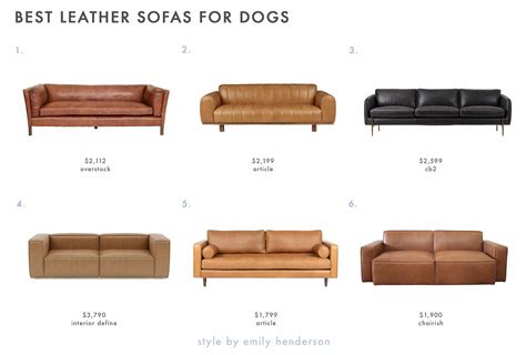 Best Sofa Material For Pet Owners | Baci Living Room