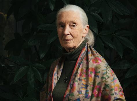 Jane Goodall, World-Renowned Primatologist and Conservation Leader ...