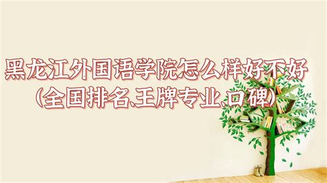 黑龙江外国语学院宿舍条件怎么样_有空调和独立卫生间吗？（附宿舍图片）_学习力