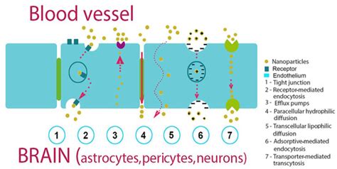Nanomaterials | Special Issue : Nanomaterials for Diagnosis, Drug ...