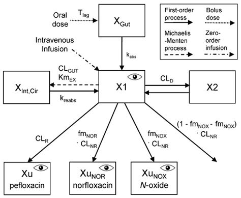 Pharmaceutics | Special Issue : Application of Translational ...