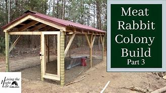 Image result for Simple DIY Rabbit Colony