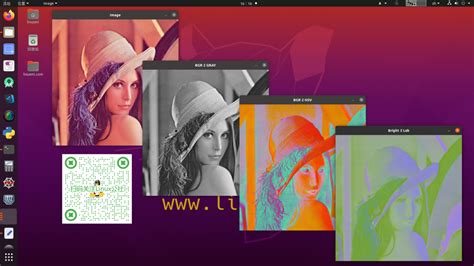 OpenCV Install Linux 的图像结果