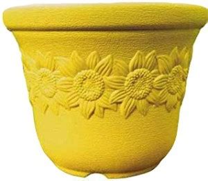 Antier Garden Essential Plastic Sunny Pot 5 Inch Indoor tinny Planter ...
