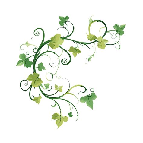 Vines Clipart Free at Lanny Rivera blog