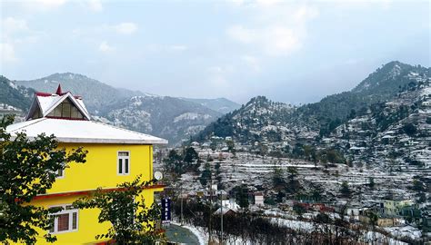 SUKET HOMESTAY (Karsog) - Inn Reviews, Photos, Rate Comparison ...