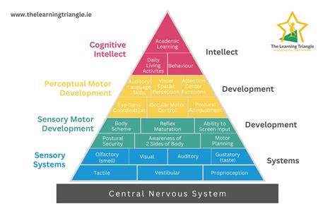 Learning Pyramid Explained 的图像结果