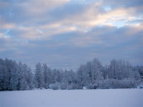 quickstep quick open reverse 的图像结果