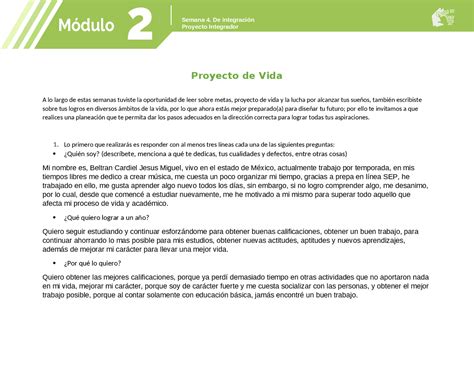 Image result for Proyecto Integrador 4 Modulo 2 Proyecto Vida