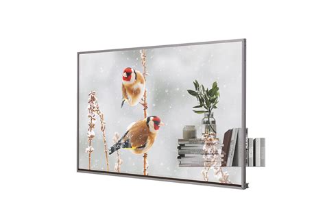 LG 55EW5P: Transparent OLED | LG IN