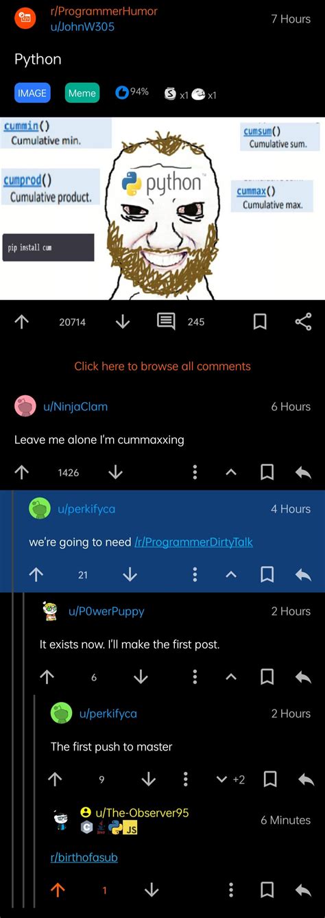 R Programmer 的图像结果