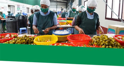 Mixed vegetables | Indus Vegpro