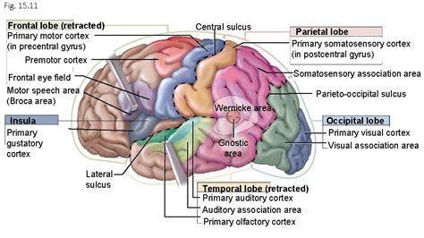 Image result for Cortex-R Vector Table