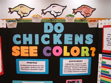 Cool DIY Science Projects 的图像结果