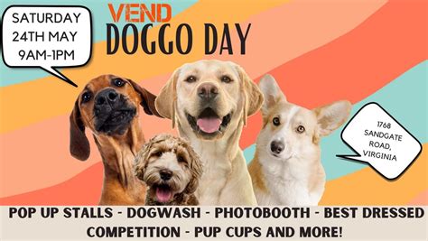 Doggo Day!, 1768 Sandgate Rd, Virginia, QLD, Australia, Queensland 4014 ...