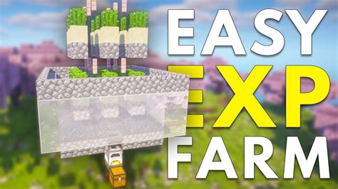 Image result for Java Exp Farms