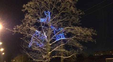 TRI KOTA (Veliky Novgorod, Novgorod Oblast, Russia) - Hotel Reviews ...