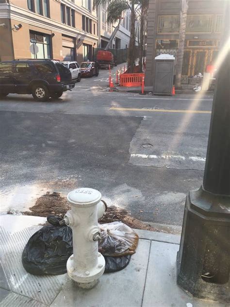 Image result for Contraband Poop