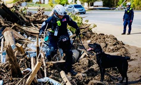CANINE INFORMATION DAY-2025 , TEEX - Disaster City®, College Station ...