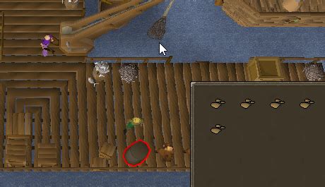 Image result for OSRS ImageBot Python