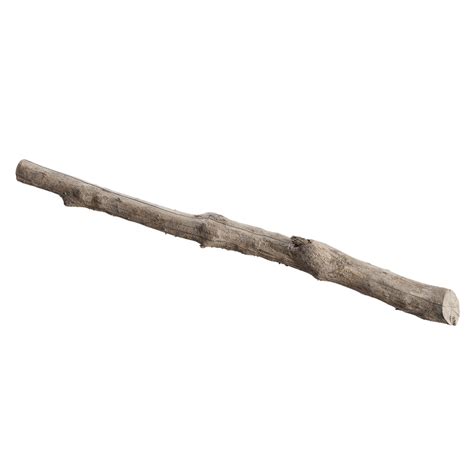 Image result for Cut Log