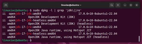 Image result for Ubuntu Remove Java