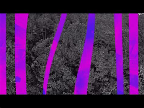 64-Bit Media Codec for PowerPoint 的图像结果