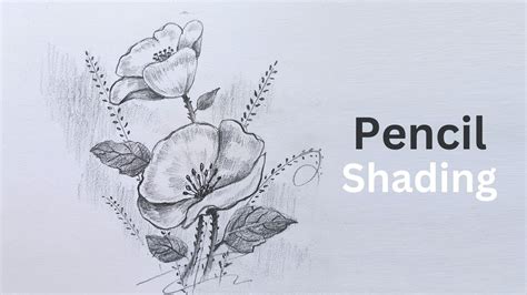 How to do pencil shading | Flower pencil work | Flower study step by ...