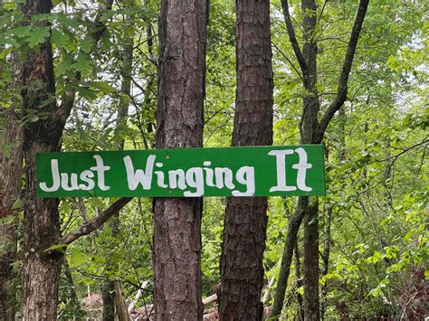 Just Winging It, South Carolina - GPS Trail Map, Conditions ...