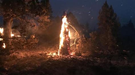 Image result for Bootleg Fire Behavior