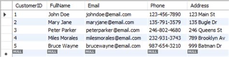 Image result for Customer Table in SQL Example