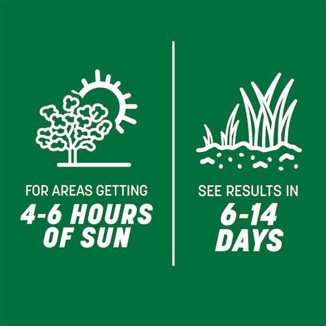 Pennington Smart Seed Pro Pallet 20 -Pack 50-lb Tall Fescue Grass Seed ...