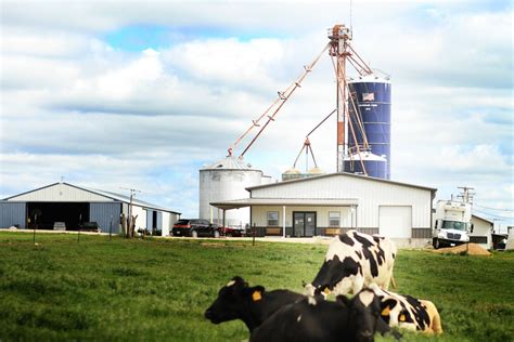 Hildebrand Farms Dairy