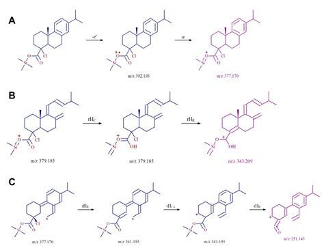 Image result for Fragmentation Pathways